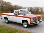 Chevrolet C10 Custom Deluxe Olympic Edition 1976 года
